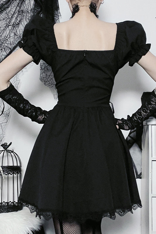 Rose Lace A-Line Gothic Dress