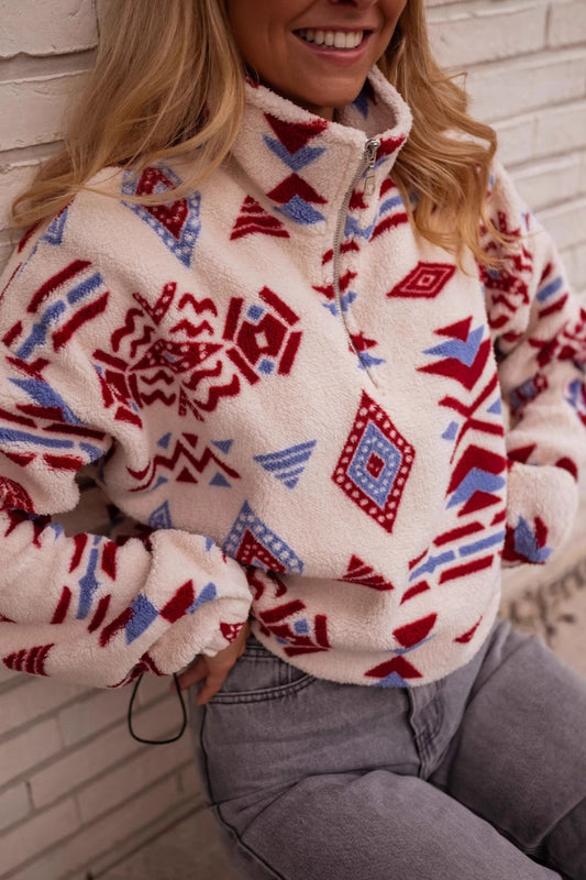 Turtle Colorblock Print Thick Sweatshirt