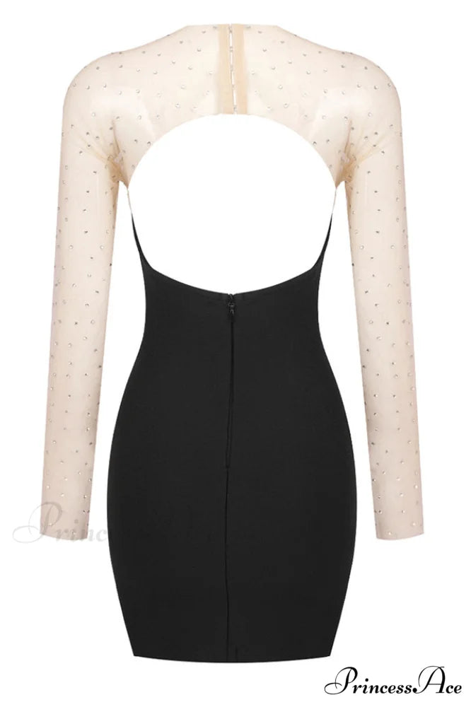 Aarohi Crystal Stylish Mesh Mini Dress