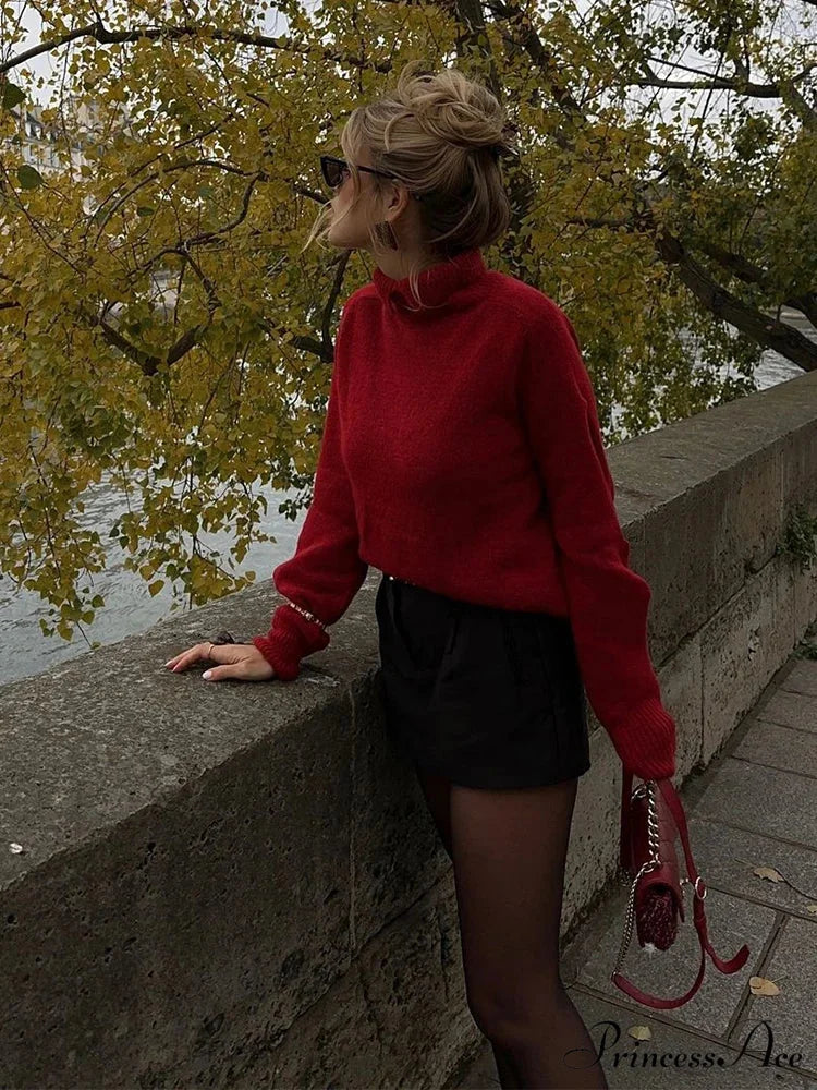Antique Extended Sleeve Pullover Jumper swraters-241228