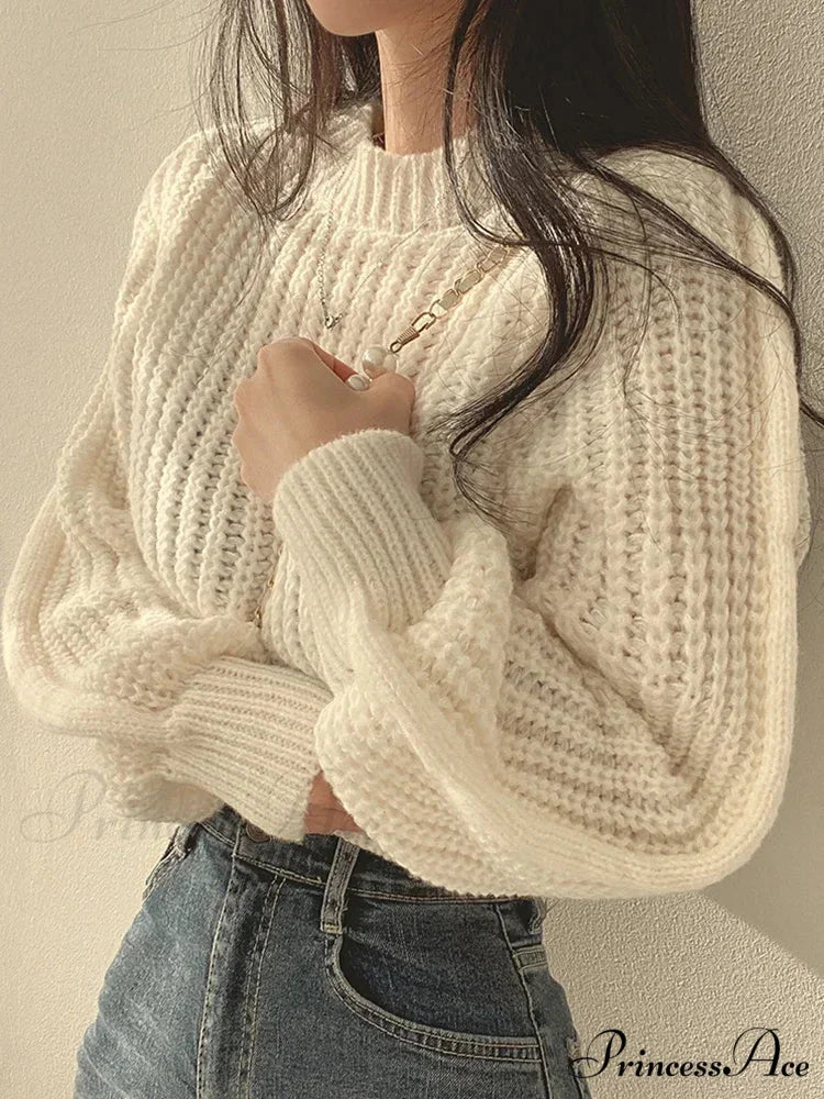 Antique Lantern Extended Sleeve Jumper swraters-241228