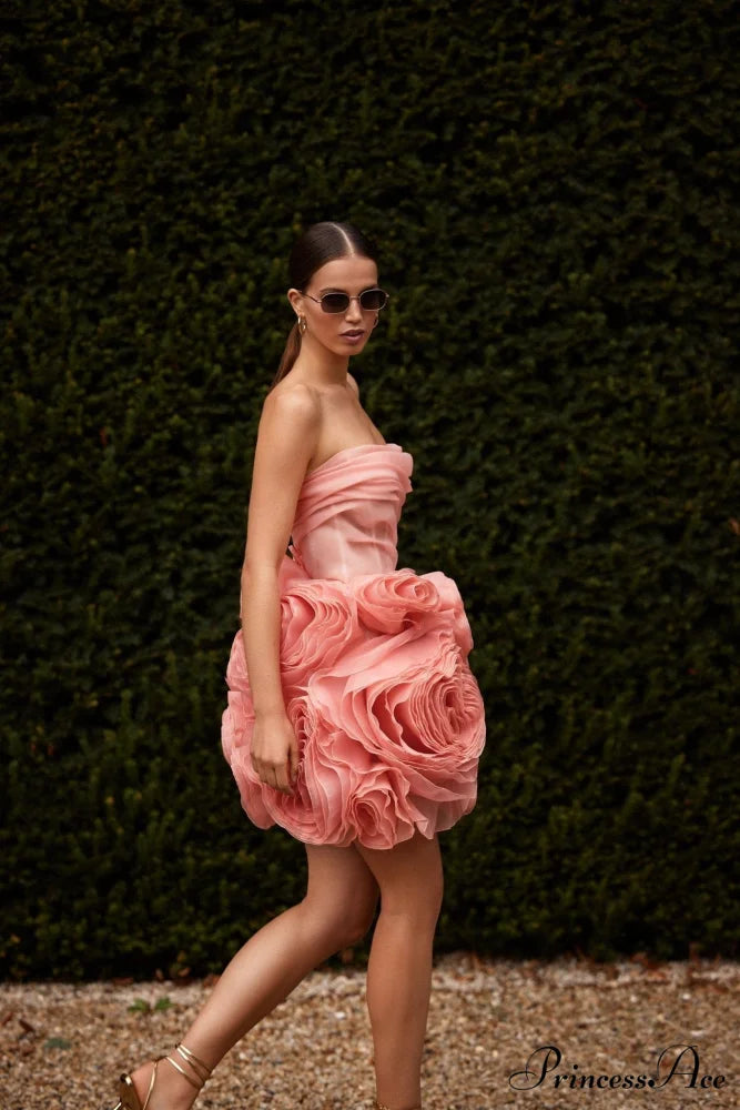 Appliqud Organza Stylish Coral Mini Dress