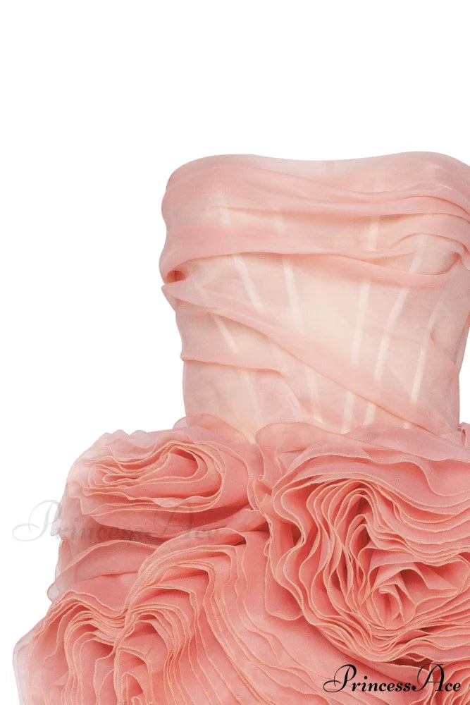 Appliqud Organza Stylish Coral Mini Dress