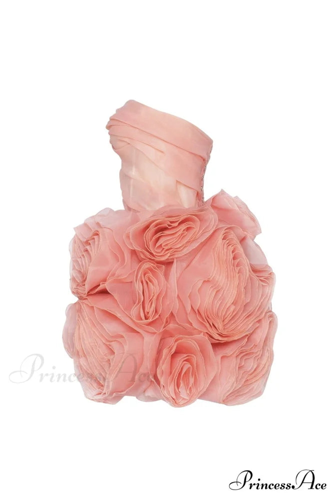 Appliqud Organza Stylish Coral Mini Dress