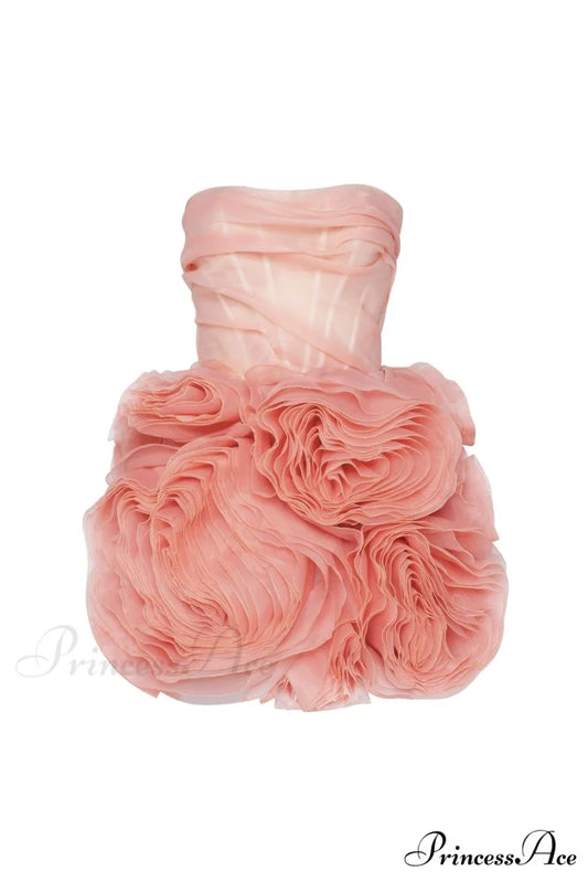 Appliqud Organza Stylish Coral Mini Dress XXS / Coral