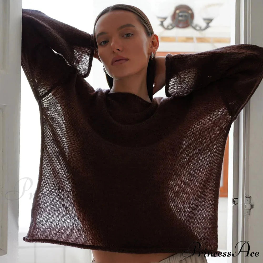 Empty Transparent Round-neck Long Sleeve Sweater swraters-241228