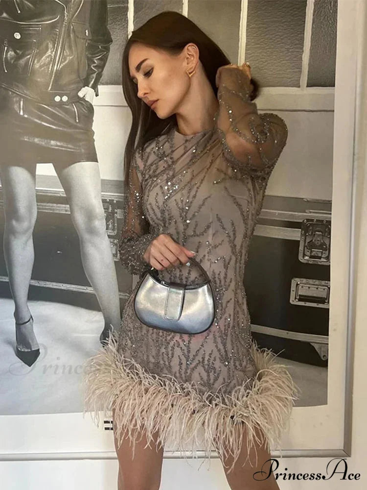 Feather Mesh Sheer Sleeve Party Dress