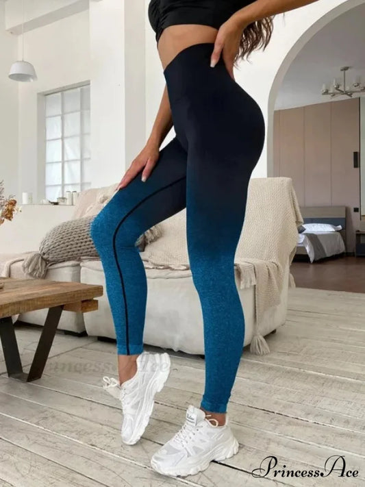 Gradient Seamless Fitness Gym Outdoor Legging Blue / S