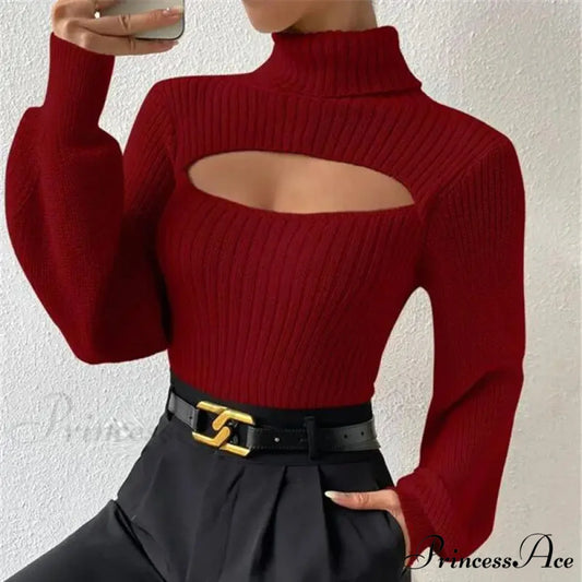 Hollowed-out Turtleneck Seductive Sweater swraters-241228