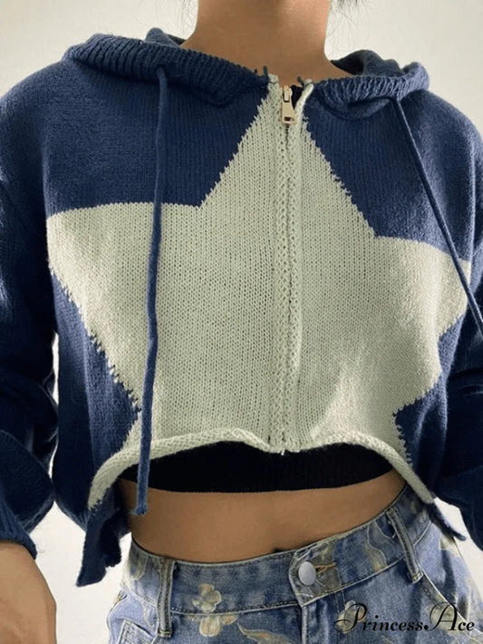 Hooded Solid Color Trendy Casual Sweatshirt Dress Blue / S