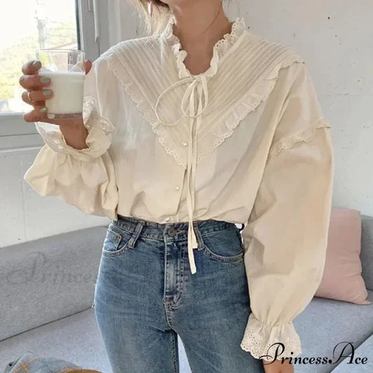 Mesh Hollow-Out Extended Sleeve Top WHITE / S blouse-250223