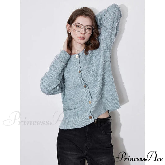 Round Neck Jacquard Embroidered Cardigan Sky Blue / S