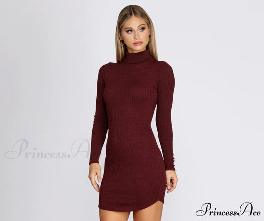 Turtleneck Long Sleeve Charming Ribbed Knit Mini Dress BURGUNDY / XS
