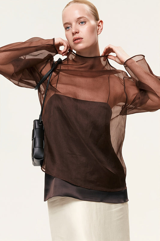 Sheer Mesh Long Sleeve Blouse