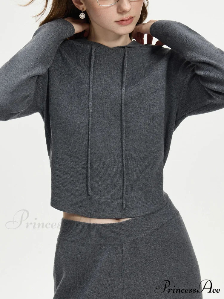 4.1% Wool Brief Hooded Stylish Knitwear Sweater Gray Top / XS swraters-241228