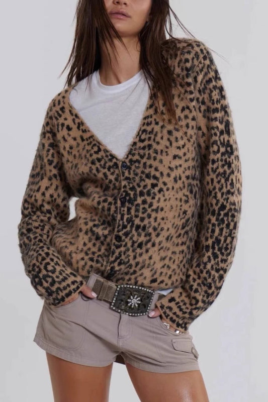 Leopard Print V Neck Knit Blouse