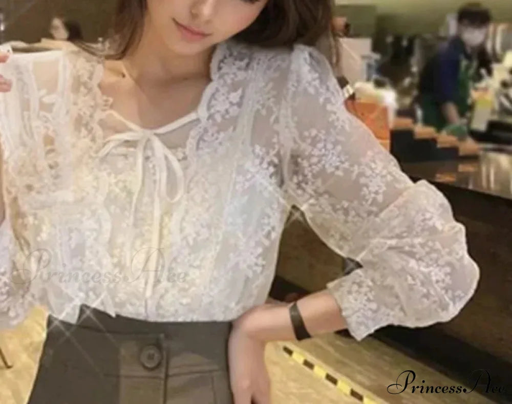 Antique Lace Puff Extended Sleeve Crochet Blouse blouse-250126