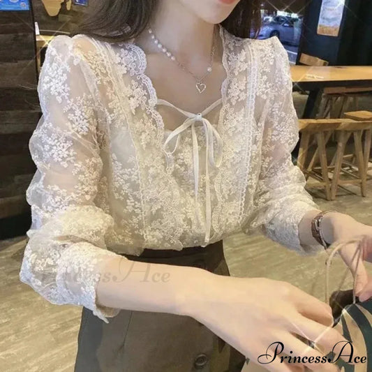 Antique Lace Puff Extended Sleeve Crochet Blouse blouse-250126