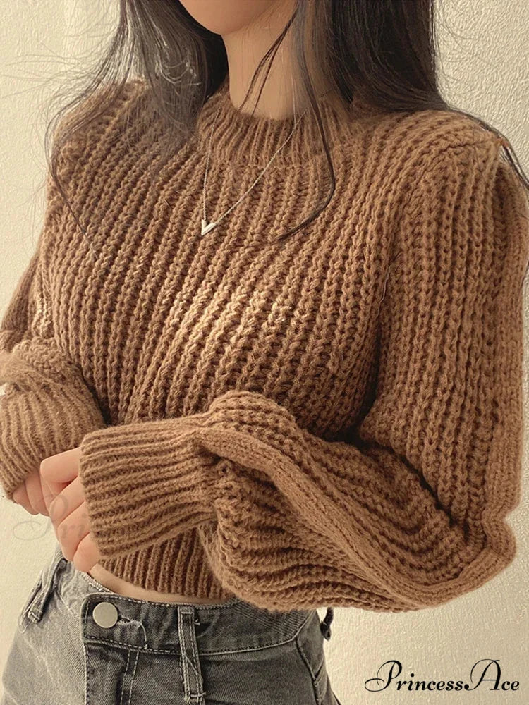 Antique Lantern Extended Sleeve Jumper Brown / One Size swraters-241228