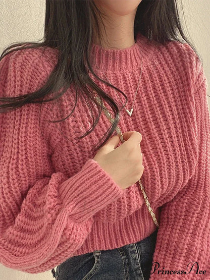 Antique Lantern Extended Sleeve Jumper Pink / One Size swraters-241228