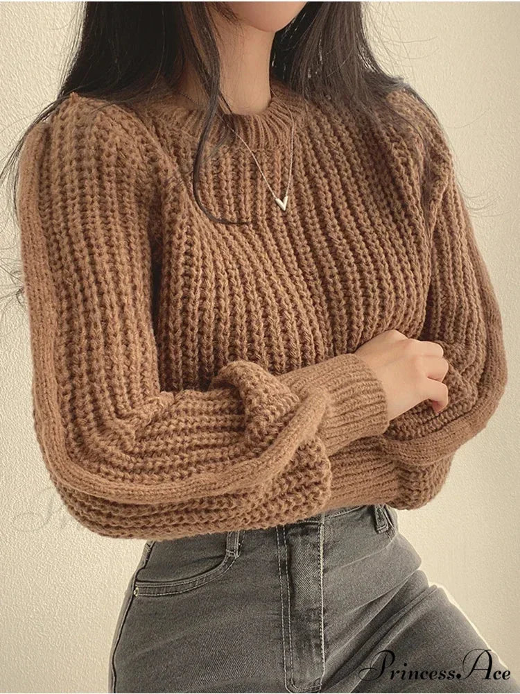 Antique Lantern Extended Sleeve Jumper swraters-241228
