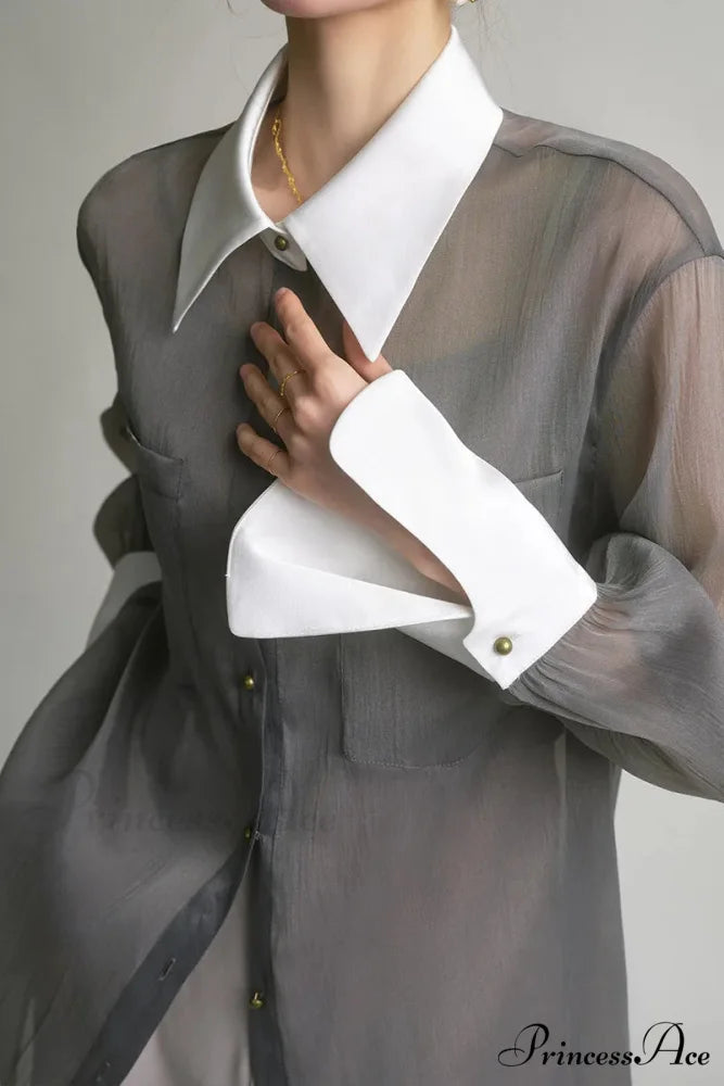 Antique Transparent Long Sleeve Sun-Resistant Top Grey / S blouse-250223