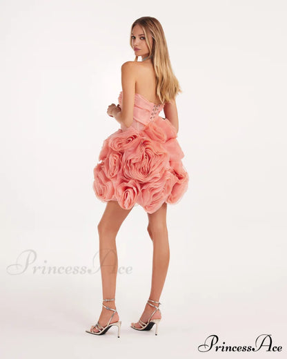 Appliqud Organza Stylish Coral Mini Dress