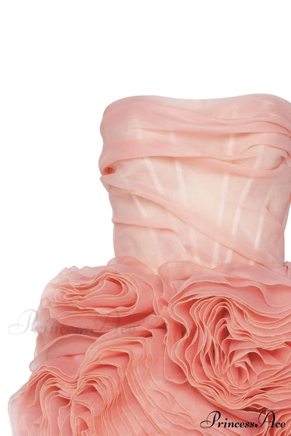 Appliqud Organza Stylish Coral Mini Dress
