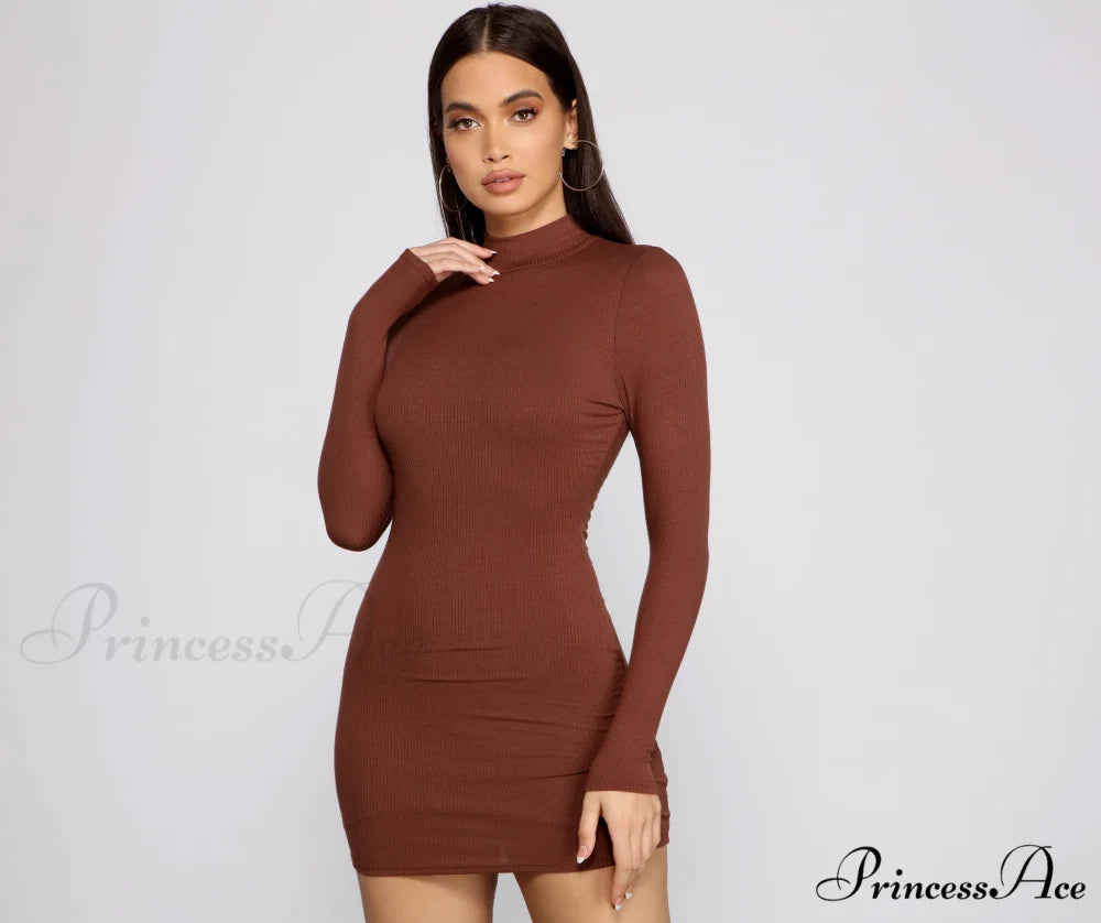 Basic Ribbed Knit Charming Long Sleeve Mini Dress BROWN / XS