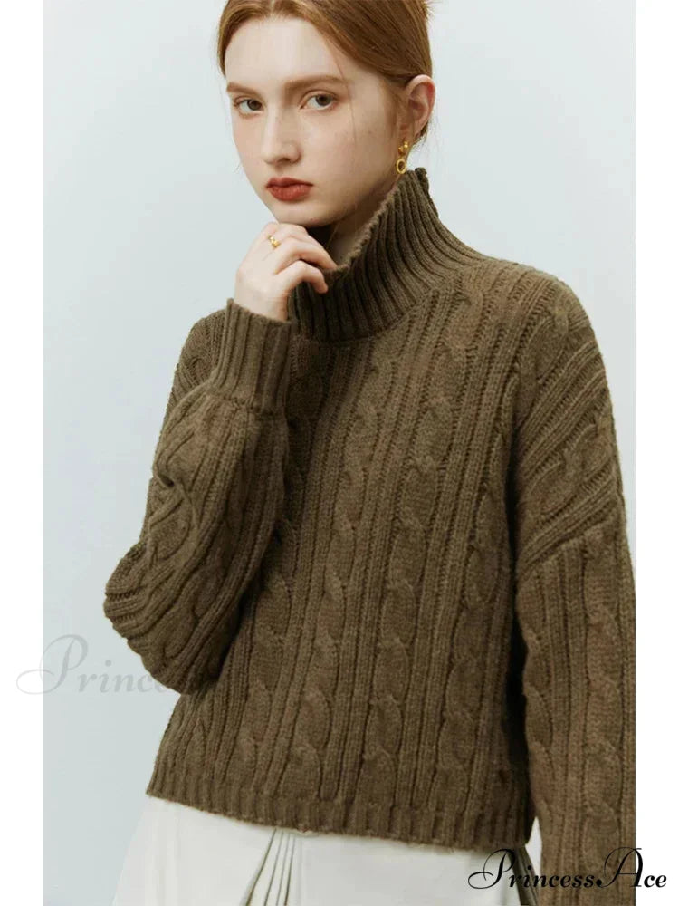 Brief Spiral Turtleneck Comfortable Pullover Sweater Dark Brown / S swraters-241228