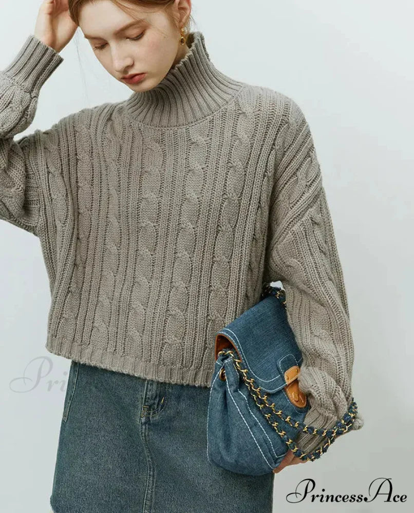 Brief Spiral Turtleneck Comfortable Pullover Sweater swraters-241228