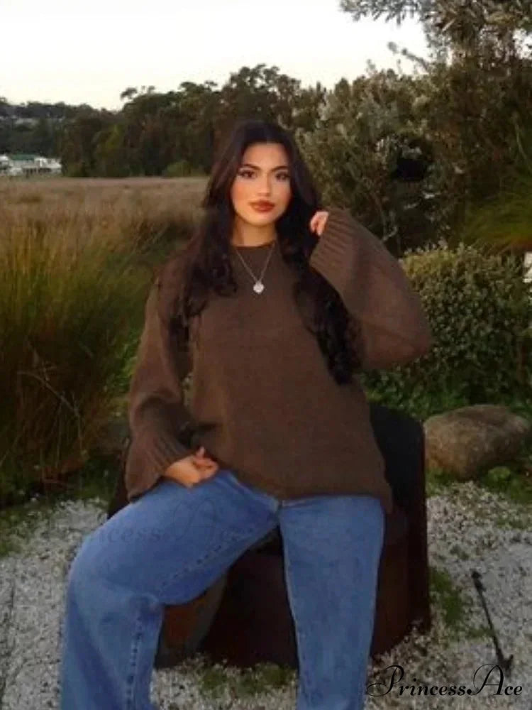 Brown Circular Neck Baggy Simple Jumper swraters-241228