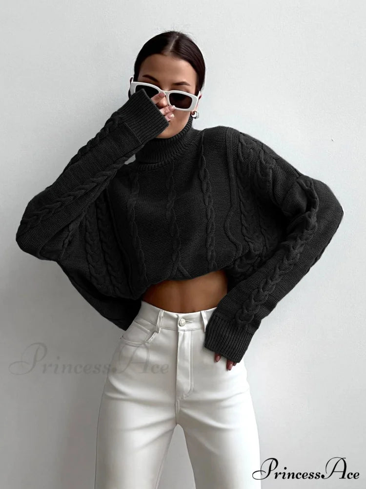 Cable Knit Graceful Turtleneck Oversized Sweater Black / XS