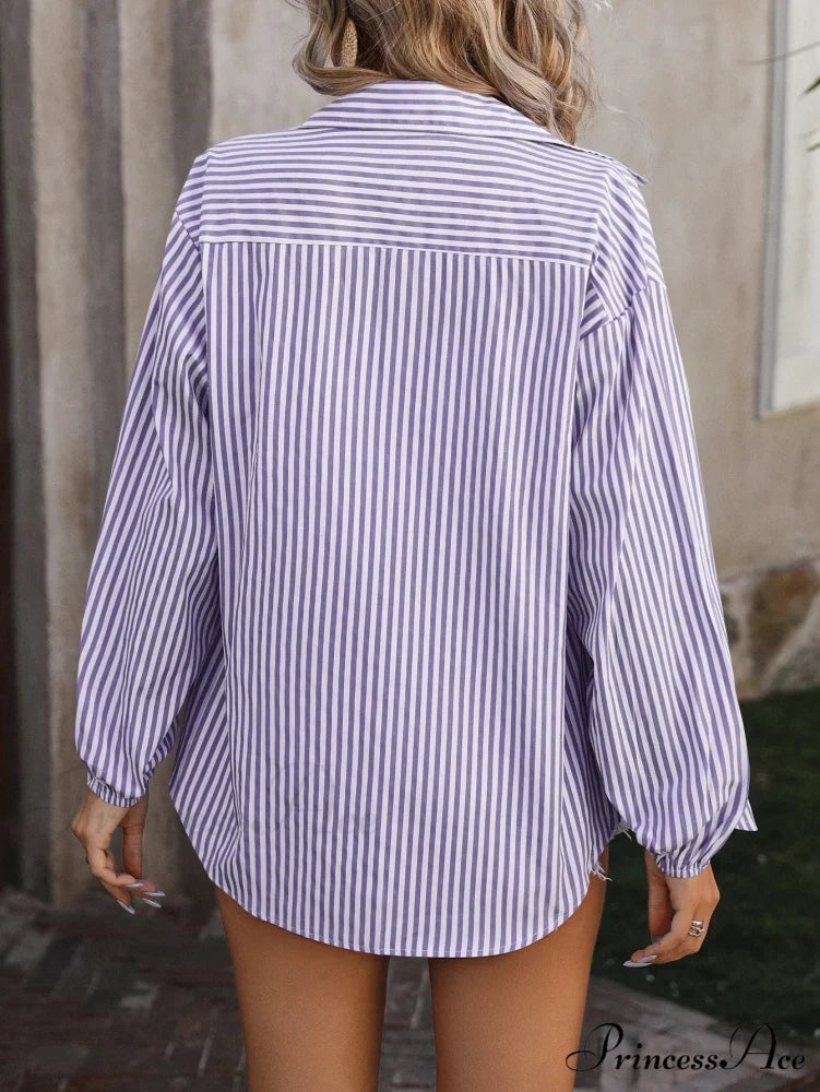 Calm Long Sleeve Banded Casual Shirt Blouse blouse-250126