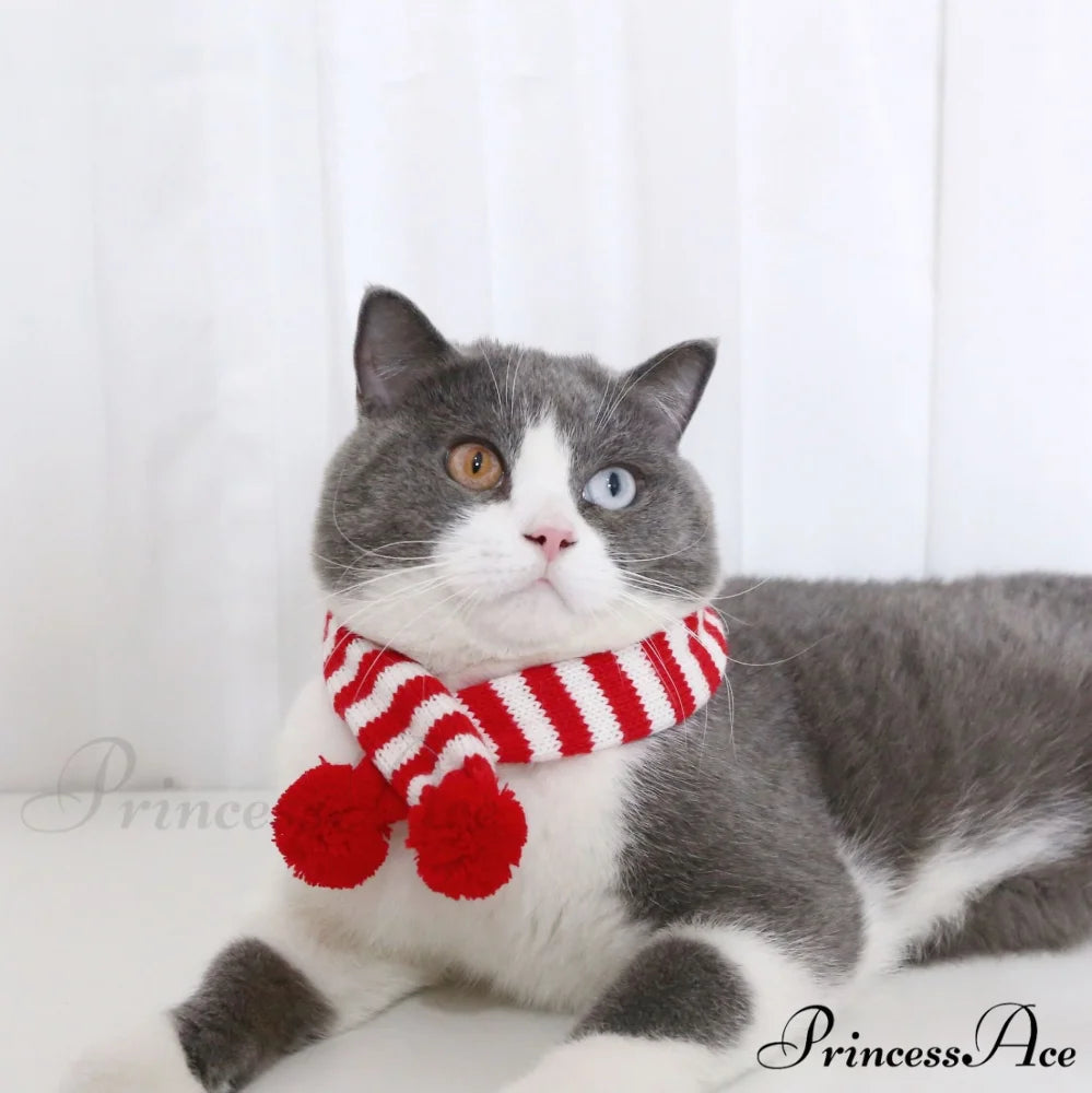 Cat Dog Knitted Wool Striped Christmas Scarf