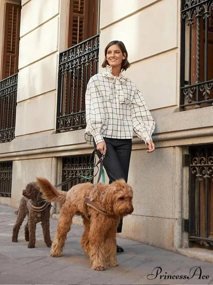 Checkered Long Sleeve Lace Up Single Breasted Top blouse-250126