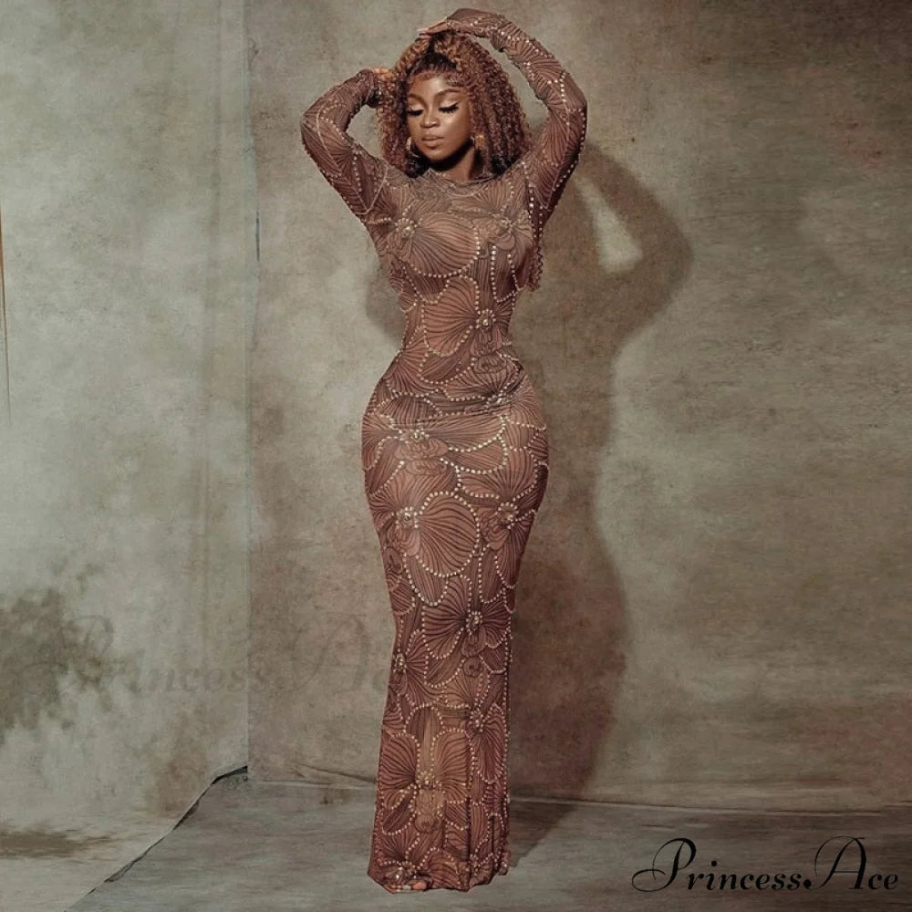 Club Bodycon See Through Long Dress