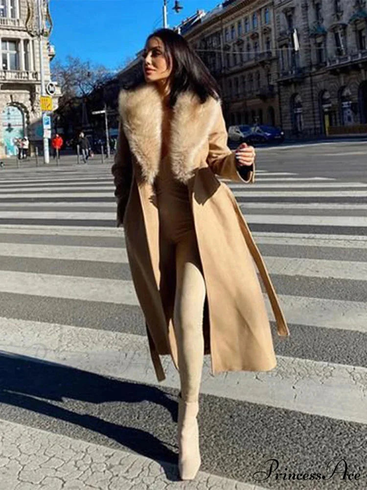 Concealed Button Collar Maxi Winter Overcoat overcoats-241228