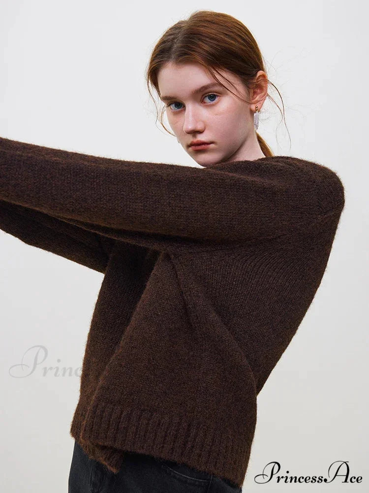 Cozy Smooth Glossy Circular Neck Pullover Sweater Dark Brown / S swraters-241228