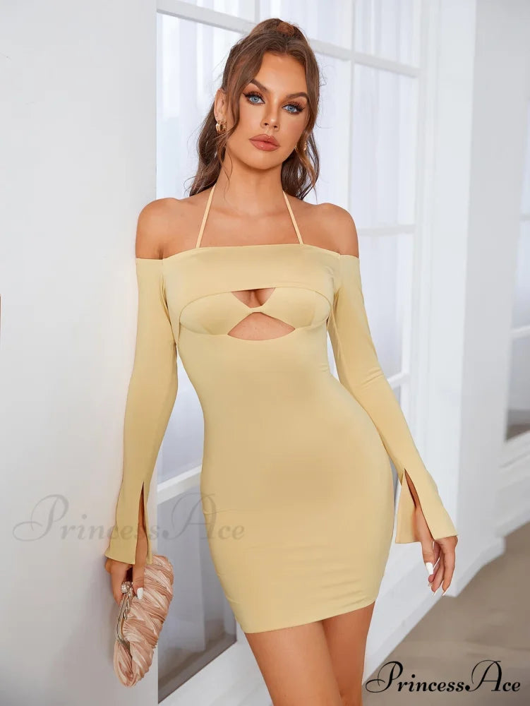 Cut Out Tie Trendy Backless Halter Bodycon Dress