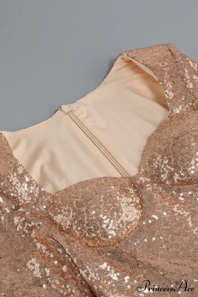 Daria Sequin Stylish Feather Mini Dress