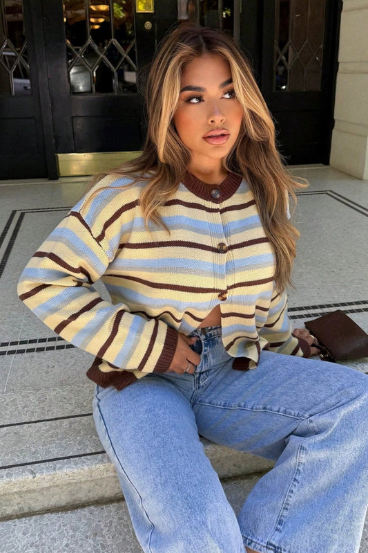 Multicolor Stripe Contrast Cardigan