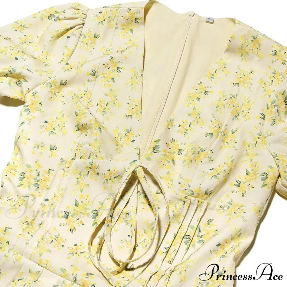 Deep V Short Sleeve Mini Women’s Lined Fashion Ball Gown Club Party OutFit Summer Floral Dress