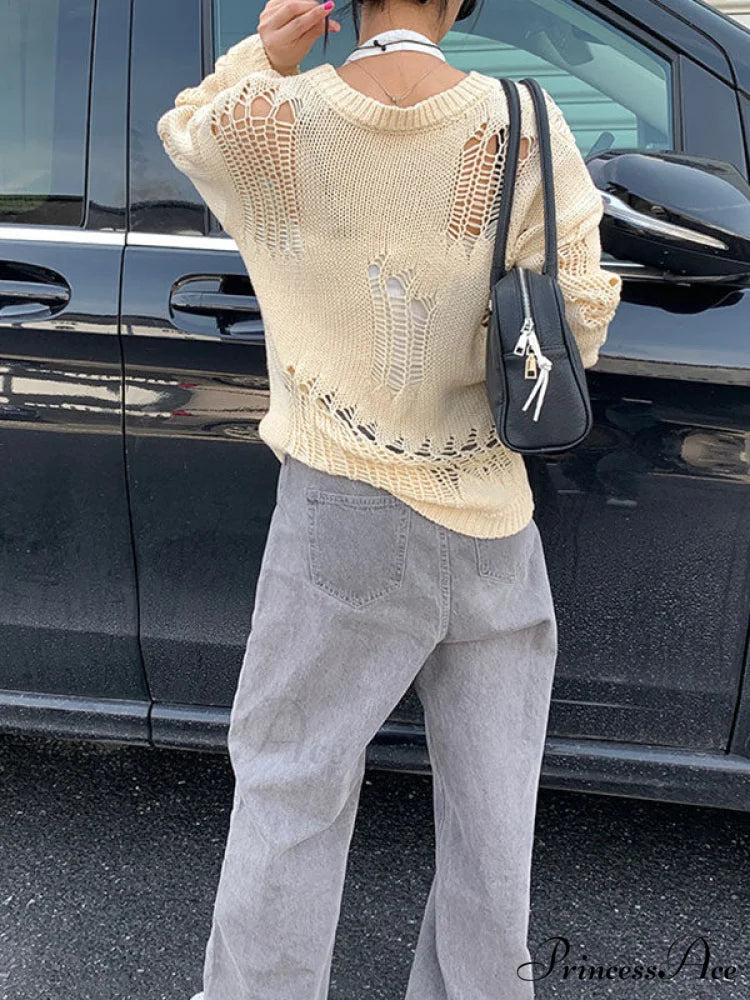 Distressed Crochet Knit Trendy Long Sleeve Crop Top