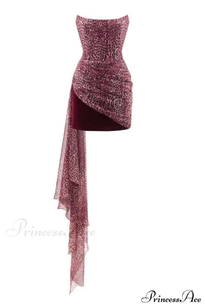 Draped Leopard Mesh Charming Velvet Mini Dress XS / Leopard Print