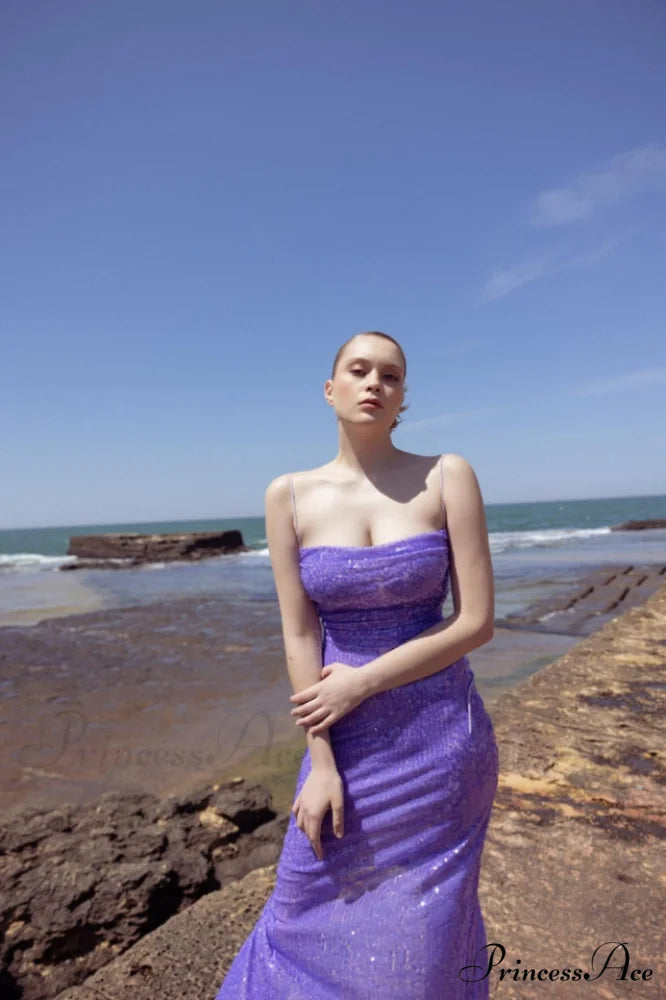 Emilina Sequin Stylish Backless Maxi Dress