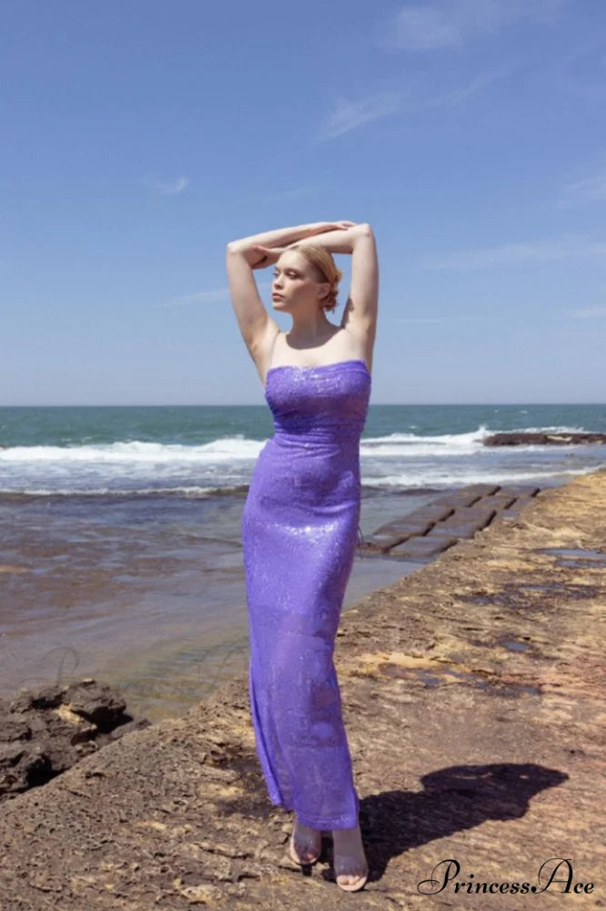 Emilina Sequin Stylish Backless Maxi Dress