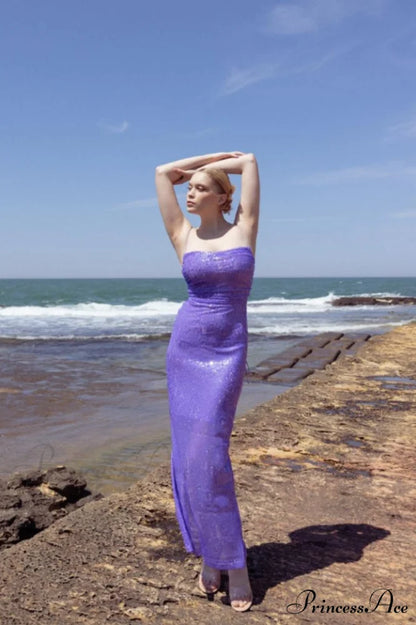 Emilina Sequin Stylish Backless Maxi Dress