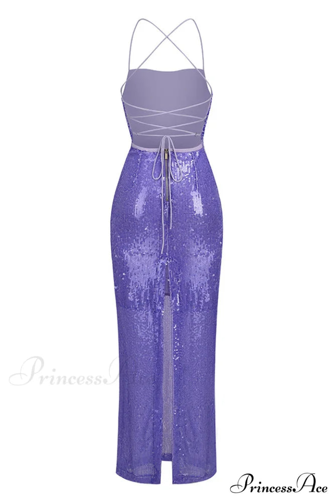 Emilina Sequin Stylish Backless Maxi Dress