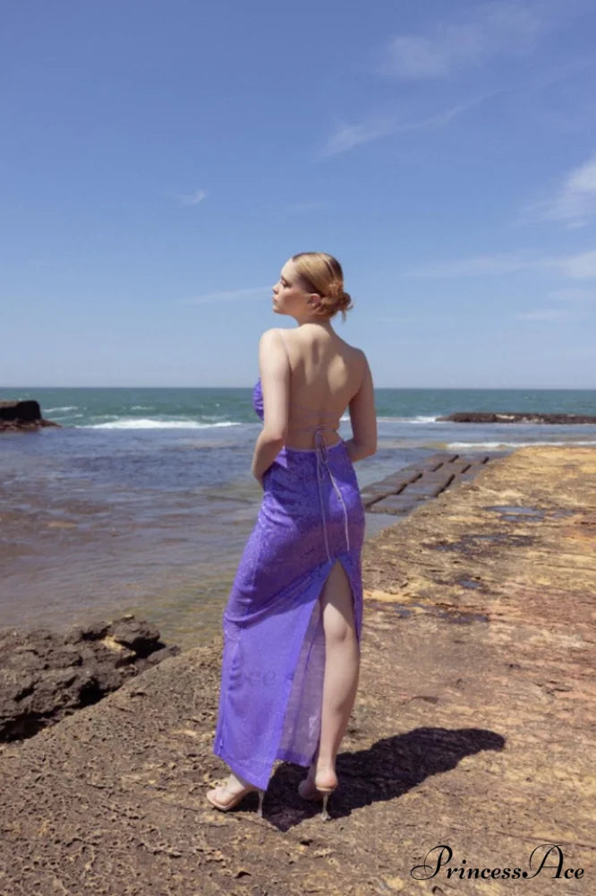 Emilina Sequin Stylish Backless Maxi Dress